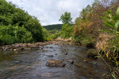 Vahşi doğada güzel kayalık bir dere..