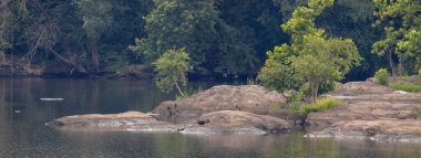 Susquehanna Nehri 'ndeki kayaların güzelliği.