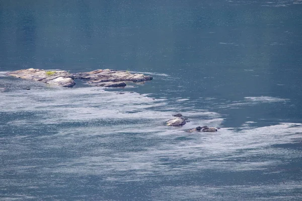 Rocas Rápidos Río Susquehanna Vistos Desde Arriba — Foto de Stock