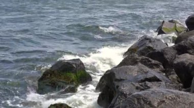 Okyanus dalgaları kıyıdaki yosunlarla kaplı kayaların üzerinde yuvarlanıyor..