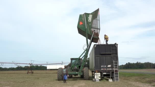 Olar South Carolina September 2020 Harvester Harvesting Peanuts Large Field — Stock Video