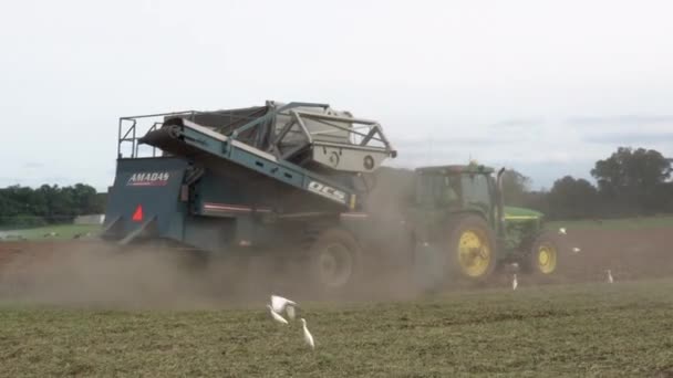 Olar Carolina Sud Septembrie 2020 Recoltator Recoltând Alune Într Câmp — Videoclip de stoc