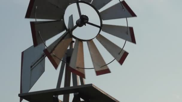 Small Windmill Turning Light Evening Sun Breeze — Stock Video