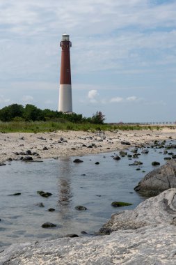 Sahildeki görkemli Barnegat Deniz Feneri manzarası.