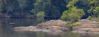Susquehanna Nehri 'ndeki kayaların güzelliği.