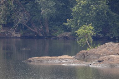 Susquehanna Nehri 'ndeki kayaların güzelliği.