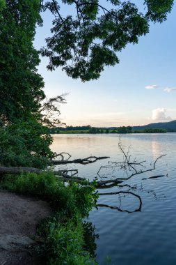 Yabanda bir gölün güzelliği Yaz mevsiminde akşam ışığında.