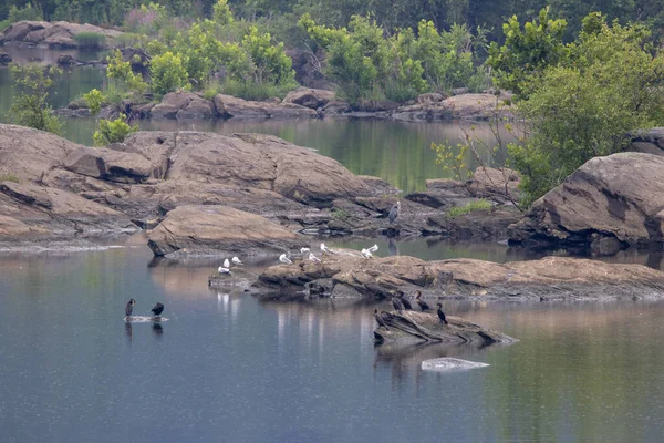 Susquehanna Folyó Szikláinak Szépsége — Stock Fotó