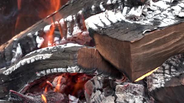 营火中烧木柴的火坑中的火 — 图库视频影像