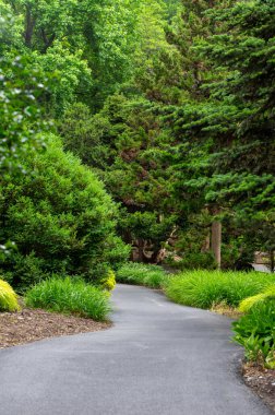 Ağaçların arasındaki bir bahçede Paved Yolu.