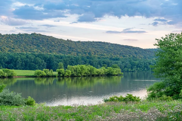 Akşamın ışığında, çölde bir göl..