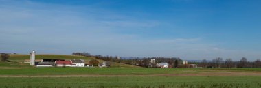 Yeşil tarlalarla çevrili kırsal kesimdeki bazı çiftliklerin manzarası..