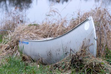 Eski bir alüminyum kano gölün yanındaki uzun otların arasında duruyor..