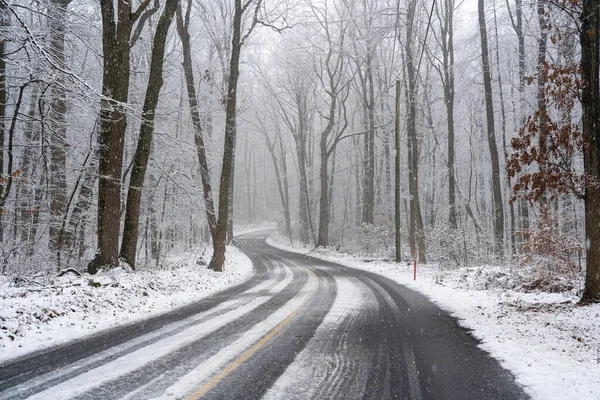 Une Légère Chute Neige Sur Chemin Terre Dans Forêt Hiver — Photo