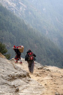 Lukla, Nepal - 4 Mart 2021: İki hamal Lukla 'dan Nepal' deki Namche Çarşısı 'na kadar dik bir dağ yolunda yürüyor.