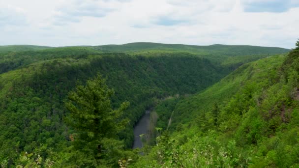 High Angle View Pine Creek Gorge Grand Canyon Pennsylvania — Vídeo de Stock