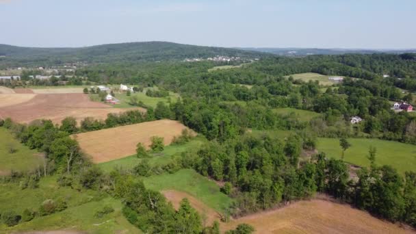 Vliegen Het Beboste Platteland Van Staat Pennsylvania — Stockvideo