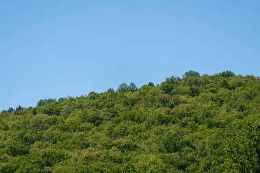 A tree covered hill against the blue of the sky.