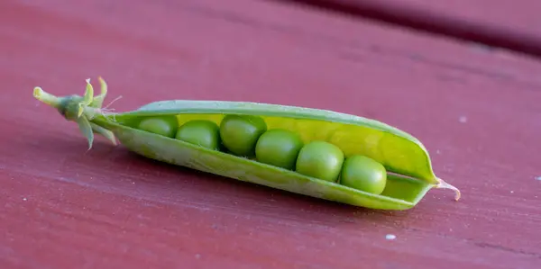 Open Pod Green Peas — Stockfoto