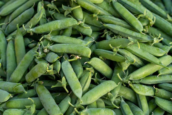 Pile Unshelled Green Peas Garden — Stockfoto