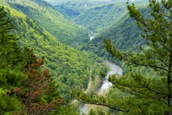 The beauty of the Pine Creek Gorge in the springtime.