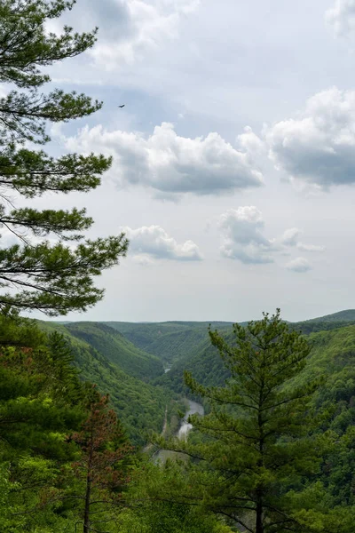 Beauty Pine Creek Gorge Springtime — 图库照片