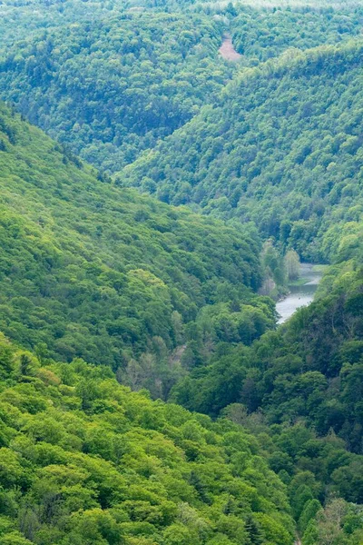 Beauty Pine Creek Gorge Springtime — Φωτογραφία Αρχείου