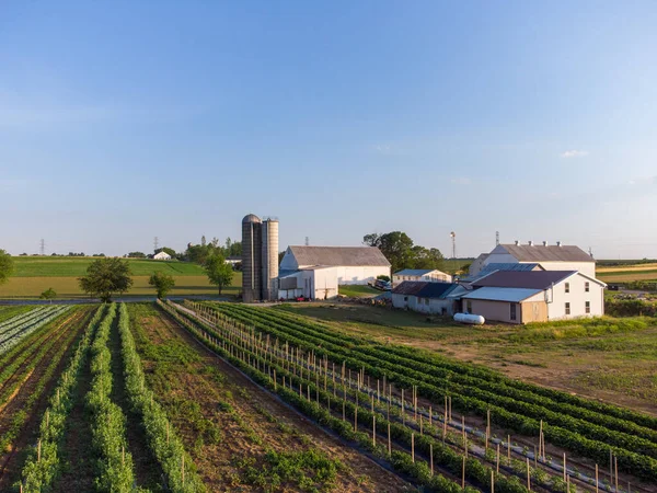 Vzdušný Pohled Farmy Zemědělskou Půdu Venkově — Stock fotografie