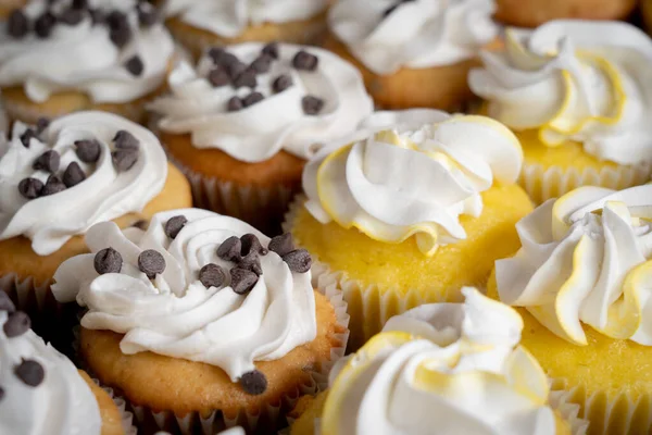 Ein Bund Zitronen Und Schokolade Chip Cupcakes — Stockfoto