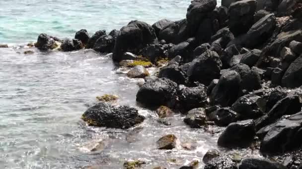 Havsvågorna Bryter Klipporna Längs Stranden — Stockvideo