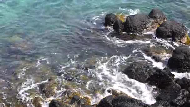 Havsvågorna Bryter Klipporna Längs Stranden — Stockvideo