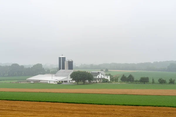 Una Granja Valle Rodeado Campos Una Mañana Brumosa — Foto de Stock