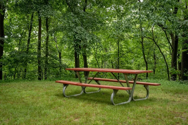 Tavolo Picnic Rosso Nella Foresta Estate — Foto Stock