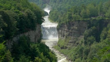 Letchworth Eyalet Parkı 'ndaki Orta Şelale Yazın yeşilliğinde.