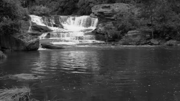 Tanner Falls Norte Pennsylvania Como Desde Abajo Hora Verano Blanco — Vídeo de stock