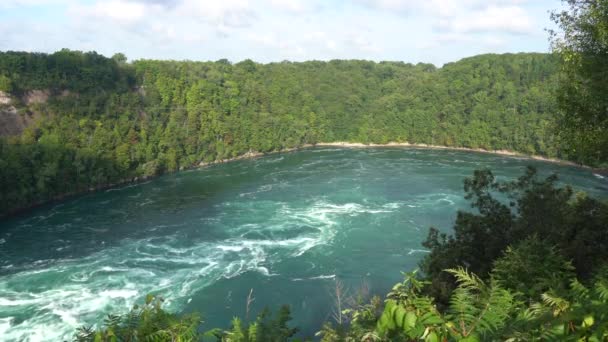 High Angle View Whirlpool Niagara River Falls — Stock Video