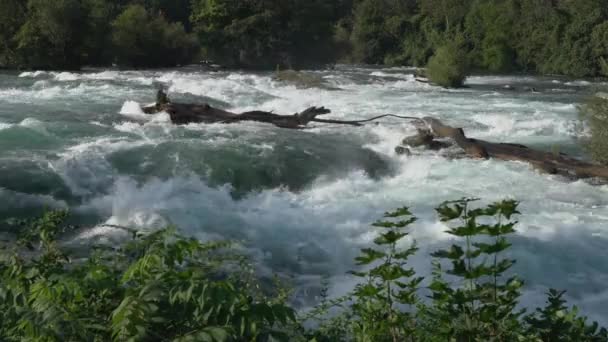 Şelalenin Yukarısındaki Niagara Nehri Ndeki Hızlı Akıntıların Tehlikesi — Stok video