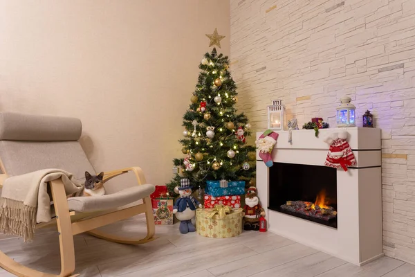 装飾されたクリスマスツリー 箱の中の贈り物 椅子の猫 燃える暖炉 クリスマス 選択的焦点 — ストック写真
