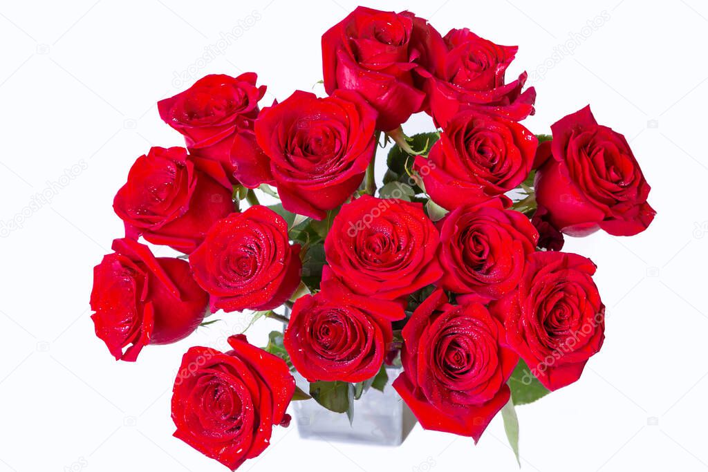 Bouquet of red (burgundy) roses on a white background. Water drops. Close-up.