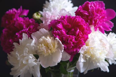 Su damlalı bir buket şakayık. Siyah arka plan. Yakın çekim, seçici odaklanma.