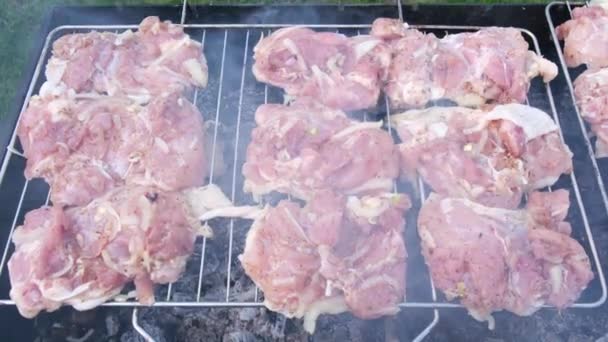 Shish Kebab Shashlik Grigliato Carboni Ardenti All Aperto Cosce Pollo — Video Stock