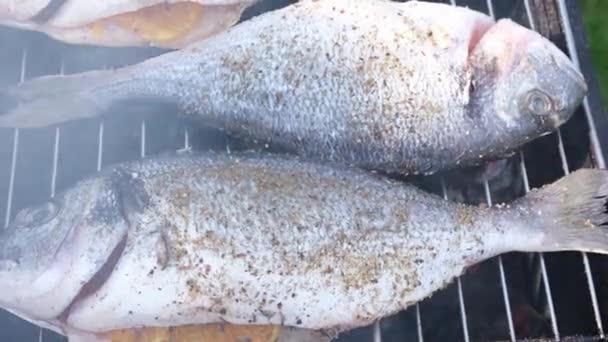 Dorado Wird Auf Heißen Kohlen Freien Gegrillt Ganze Meeresfische Auf — Stockvideo