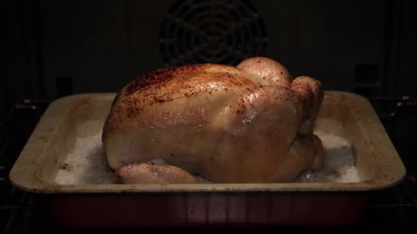 Pollo Entero Con Una Corteza Color Marrón Dorado Cuece Horno — Vídeo de stock