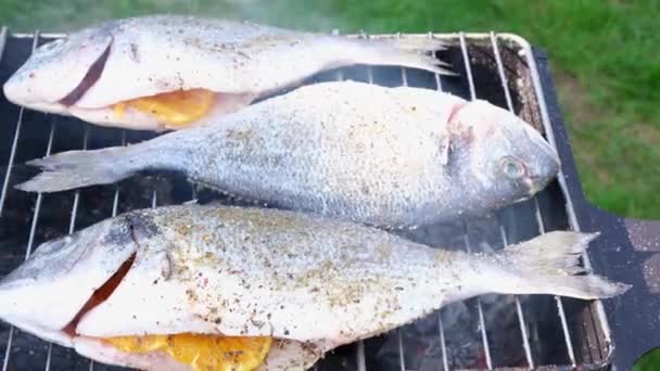 Dorado Asa Parrilla Carbones Calientes Aire Libre Pescado Mar Entero — Vídeo de stock