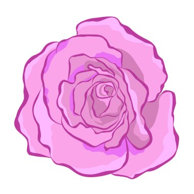 Muhteşem parlak gül