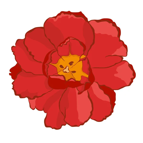 红色满郁金香 — 图库矢量图片