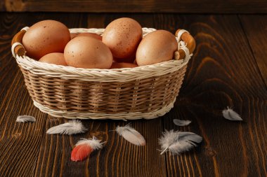 tavuk yumurtası kahverengi zemin üzerine ahşap masa üzerinde bir yuva