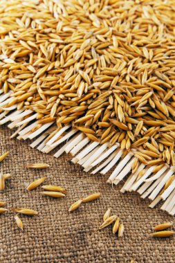 Jüt arka plan üzerinde yulaf taneleri