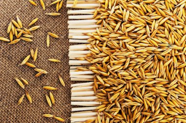 Jüt arka plan üzerinde yulaf taneleri