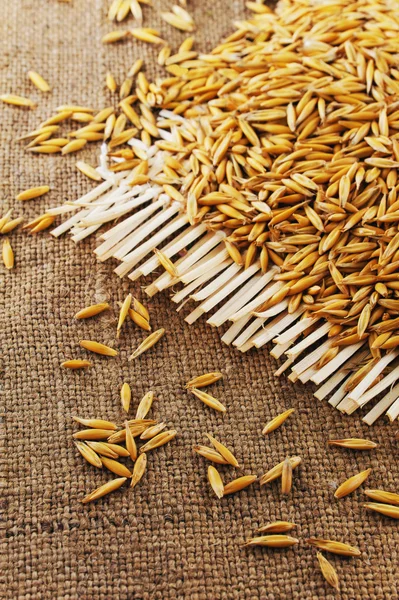 Jüt arka plan üzerinde yulaf taneleri